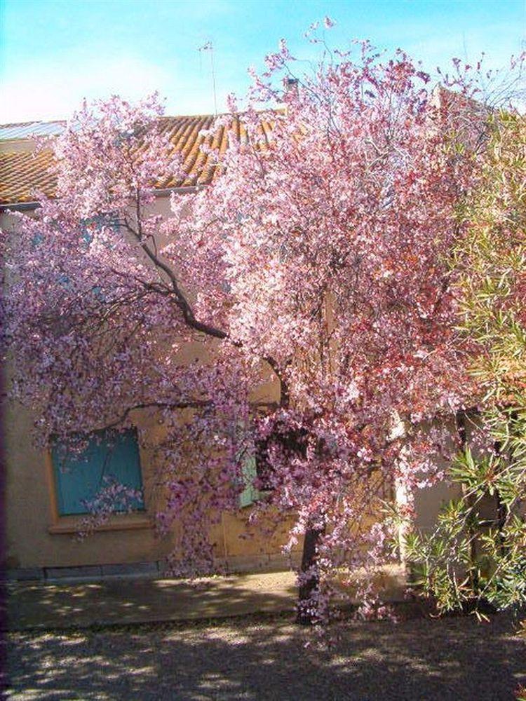 Cit'Hotel Hotel Las Cigalas Villeneuve-lès-Béziers Zewnętrze zdjęcie